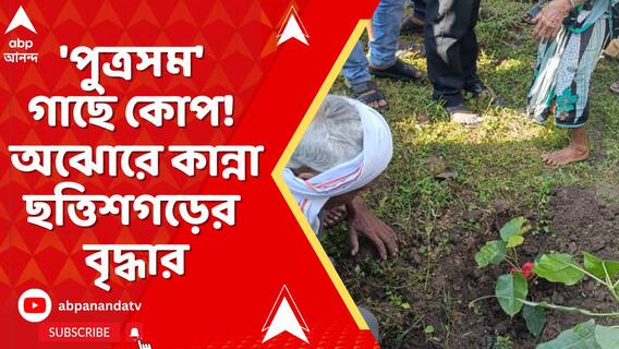না জানিয়ে কেটে ফেলা হয়েছে বৃদ্ধার প্রিয় গাছ ! গুঁড়িতে মাথা রেখে অঝোরে কান্না