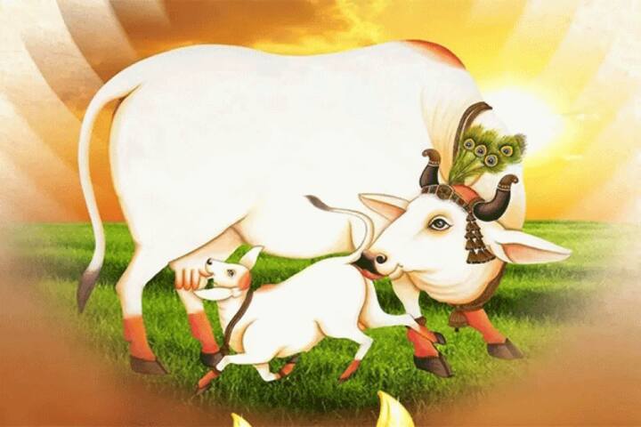 वसुबारस – 17 ऑक्टोबर 2025, शुक्रवार. पूजा मुहूर्त सकाळी 5:14 ते सायंकाळी 7:43 आहे.