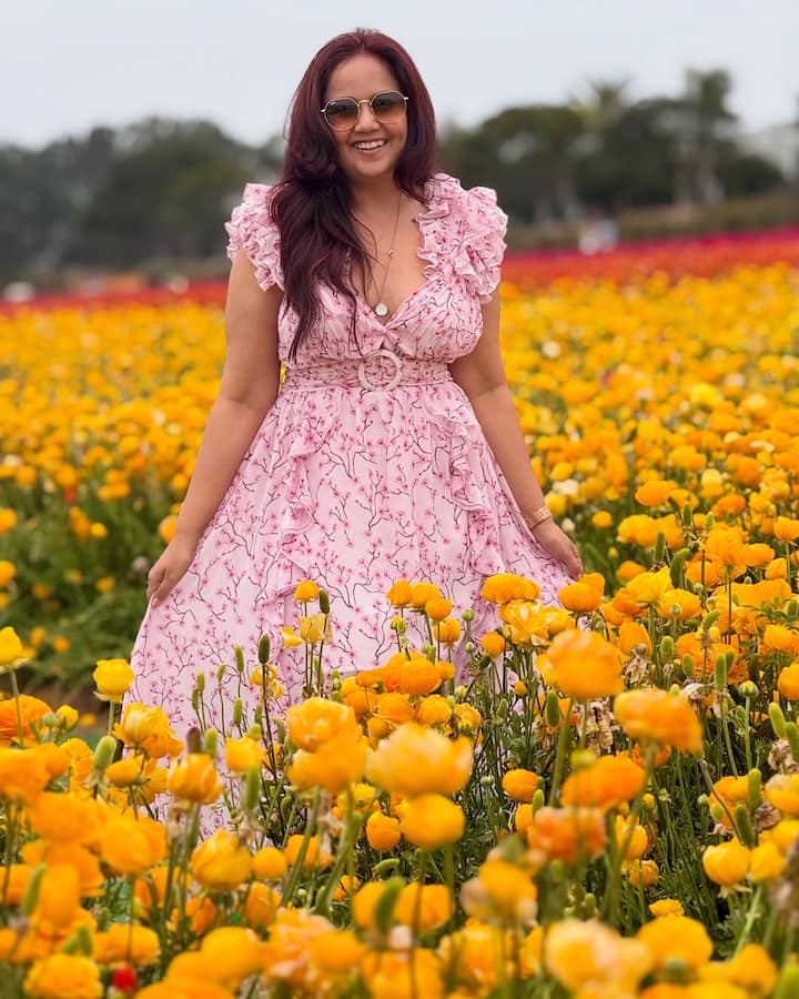बता दें सपने सुहाने लड़कपन के बाद रूपल को झलक दिखला जा 8, बिग बॉस 9, शक्ति अस्तित्व के एहसास की, लाल इश्क और रंजू की बेटियां जैसे शोज में देखा गया.