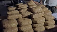 ਸ਼ੰਭੂ ਸਰਹੱਦ 'ਤੇ 186 ਕਿਲੋ ਗਾਂਜਾ ਬਰਾਮਦ, 2 ਕਾਰਾਂ ਕੀਤੀਆਂ ਜ਼ਬਤ, 5 ਤਸਕਰ ਗ੍ਰਿਫ਼ਤਾਰ, ਨਸ਼ਾ ਲੁਕਾਉਣ ਲਈ 'ਪੁਸ਼ਪਾ' ਵਾਂਗ ਲਾਇਆ ਸੀ ਜੁਗਾੜ