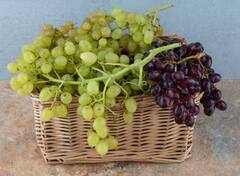 ਤੁਸੀਂ ਵੀ ਕਿਚਨ ਗਾਰਡਨ 'ਚ ਲਾਉਣਾ ਚਾਹੁੰਦੇ ਅੰਗੂਰ? ਤਾਂ ਜਾਣ ਲਓ ਸੌਖਾ ਤਰੀਕਾ