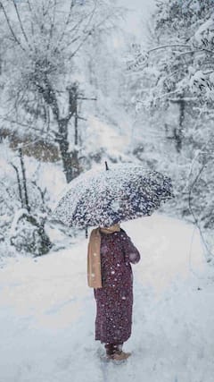 Kashmir Faces Severe Cold Snap, Foggy Mornings and Freezing Nights