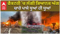 ਫੈਕਟਰੀ 'ਚ ਲੱਗੀ ਭਿਆਨਕ ਅੱਗ, ਚਾਰੇ ਪਾਸੇ ਧੂਆਂ ਹੀ ਧੂਆਂ
