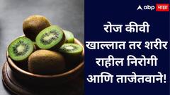 Kiwi Benefits  : लहान पण ताकदवान, रोज कीवी खाल्ल्याने शरीर राहील आरोग्यदायी!