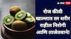 Kiwi Benefits  : लहान पण ताकदवान, रोज कीवी खाल्ल्याने शरीर राहील आरोग्यदायी!