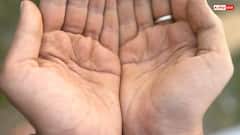 Palmistry: टूटी हुई भाग्य रेखा देती है ये संकेत, ऐसे पता करें