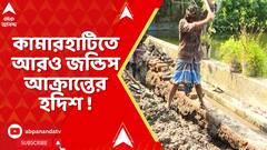 Kamarhati News : কামারহাটি পুরসভার ১০ নং ওয়ার্ডে ফের জন্ডিস আক্রান্তের হদিশ !