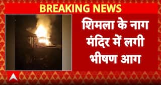 Himachal: Newly-Built Nag Temple in Shimla Destroyed Ahead of Planned Pran Pratishtha | ABP News