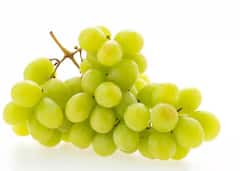 ਤੁਸੀਂ ਵੀ ਕਿਚਨ ਗਾਰਡਨ 'ਚ ਲਾਉਣਾ ਚਾਹੁੰਦੇ ਅੰਗੂਰ? ਤਾਂ ਜਾਣ ਲਓ ਸੌਖਾ ਤਰੀਕਾ