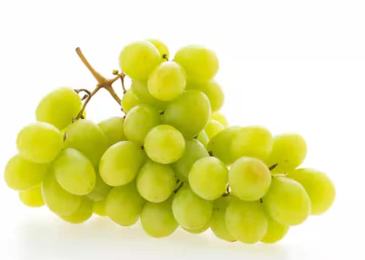 ਅੰਗੂਰਾਂ ਦੀਆਂ ਵੇਲਾਂ ਸੋਹਣੀਆਂ ਹੁੰਦੀਆਂ ਹਨ ਅਤੇ ਤੁਹਾਡੇ ਕਿਚਨ ਗਾਰਡਨ ਦੀ ਸ਼ੋਭਾ ਵਧਾ ਦਿੰਦੀਆਂ ਹਨ। ਇਸ ਤੋਂ ਇਲਾਵਾ, ਜਦੋਂ ਹਰੇ ਜਾਂ ਕਾਲੇ ਅੰਗੂਰਾਂ ਦੇ ਗੁੱਛੇ ਉਨ੍ਹਾਂ ਤੋਂ ਲਟਕਦੇ ਹਨ, ਤਾਂ ਉਹ ਇੱਕ ਕੁਦਰਤੀ ਸਜਾਵਟ ਤੋਂ ਘੱਟ ਨਹੀਂ ਲੱਗਦੀ ਹੈ। ਆਓ ਜਾਣਦੇ ਹਾਂ ਕਿ ਤੁਸੀਂ ਆਪਣੇ ਛੋਟੇ ਜਿਹੇ ਬਗੀਚੇ ਵਿੱਚ ਅੰਗੂਰ ਕਿਵੇਂ ਉਗਾ ਸਕਦੇ ਹੋ।