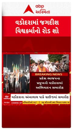 Jagdish Vishwakarma : વડોદરામાં ભાજપ પ્રમુખ જગદીશ વિશ્વકર્માનો ભવ્ય રોડ શો