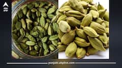 ਹਰੀ ਇਲਾਇਚੀ ਦਾ ਸੇਵਨ ਸਿਹਤ ਲਈ ਵਰਦਾਨ, ਮੂੰਹ ਦੇ ਛਾਲੇ ਤੇ ਬਦਬੂ ਤੋਂ ਰਾਹਤ  ਸਣੇ ਤਣਾਅ ਹੁੰਦਾ ਦੂਰ