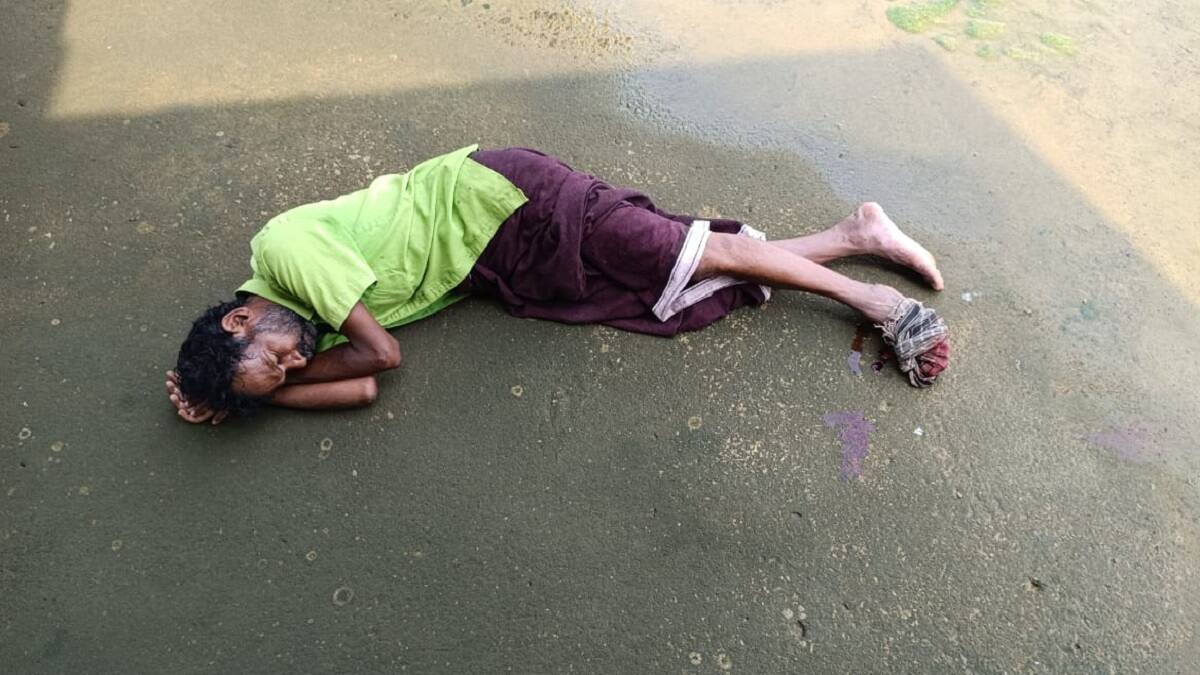 கும்பகோணம் அருகே அணைக்கரையில் மீன் பிடித்தபோது பயங்கரம்: மீனவர் காலை கடித்த முதலை