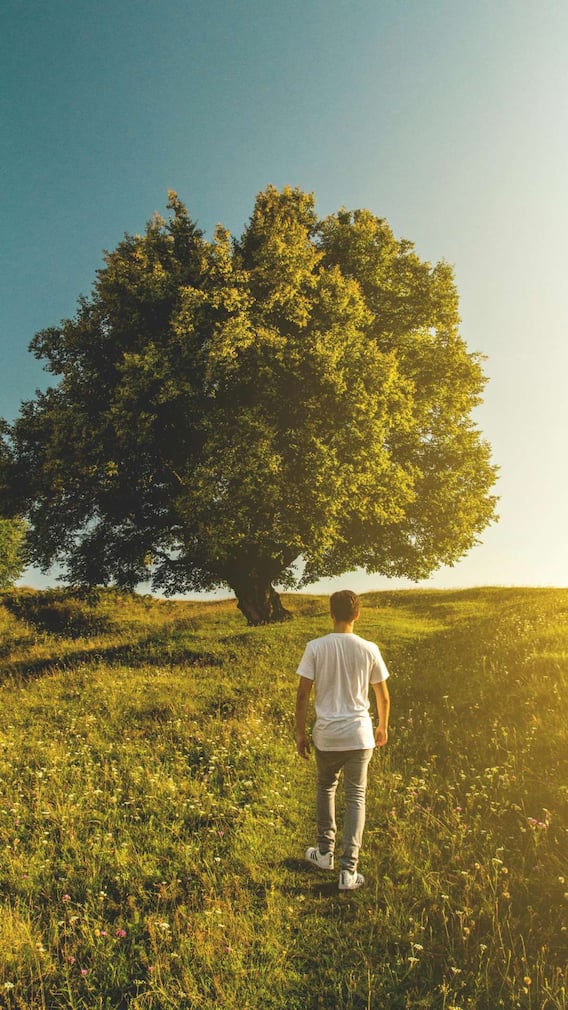 ग्रीन स्पेस थेरेपी काय आहे?