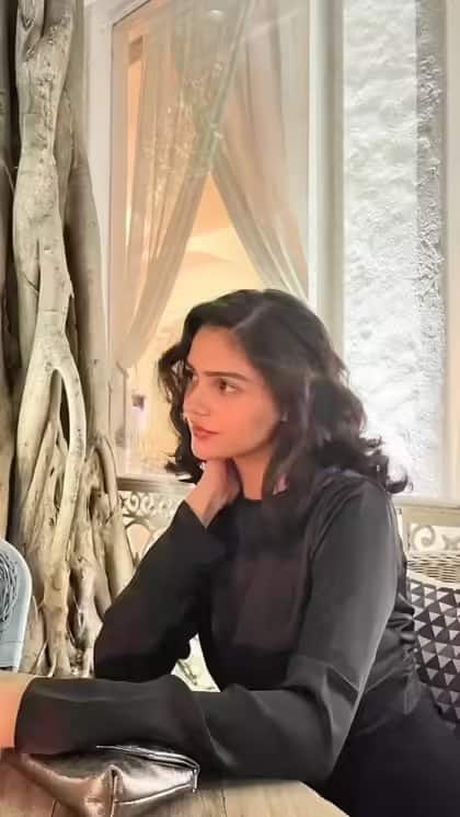 अनीत का एक्टिंग करियर की शुरुआत मॉडलिंग के जरिए हुई. शुरुआत में उन्होंने कई छोटे-बड़े ब्रांड्स के लिए एड शूट किए, जिसके बाद उन्हें म्यूजिक वीडियोज में काम करने का मौका मिला.