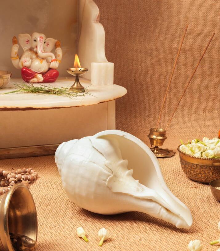 शंख-रूद्राक्ष  ज्योतिषी सांगतात की, धनत्रयोदशीच्या दिवशी शंख खरेदी करणं शुभ मानलं जातं, यादिवशी शंख खरेदी करून त्याची पूजा करावी.