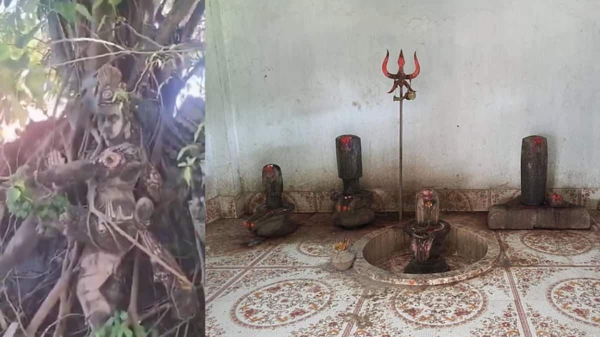 Kirit Shakti Peeth: చెట్ల వేళ్ళతో అల్లుకున్న పురాతన శివాలయం, ఇదో శక్తిపీఠం! తప్పనిసరిగా దర్శించుకోవాల్సిన ప్రదేశం!