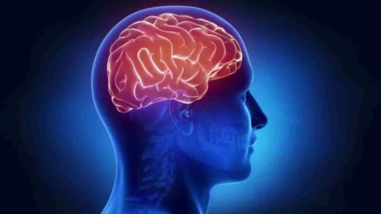 इंसानी दिमाग को स्मार्टफोन की नहीं, इस चीज की है जरूरत, न्यूरोसाइंटिस्ट की चेतावनी