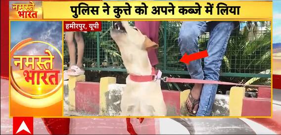 Dog Custody Standoff In Hamirpur: Two Families Clash Over Pet Sheru