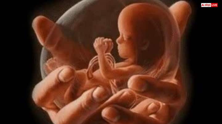 (25 अक्टूबर 2025, शनिवार) अभिजीत मुहूर्त: 11:45 से 12:30 – संपत्ति, निर्माण और भूमि कार्यों के लिए श्रेष्ठ समय. शुभ चौघड़िया: 8:00 से 9:30 और 5:00 से 6:30 तक. ग्रह स्थिति: शनि स्थायित्व और अनुशासन का वरदान देगा. अशुभ काल: राहुकाल 9:00 से 10:30 तक.