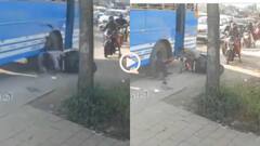 Watch: इस वीडियो से लें सबक! स्कूटी से फिसल बस के नीचे गिरा शख्स, कुचला गया, हादसा CCTV में कैद