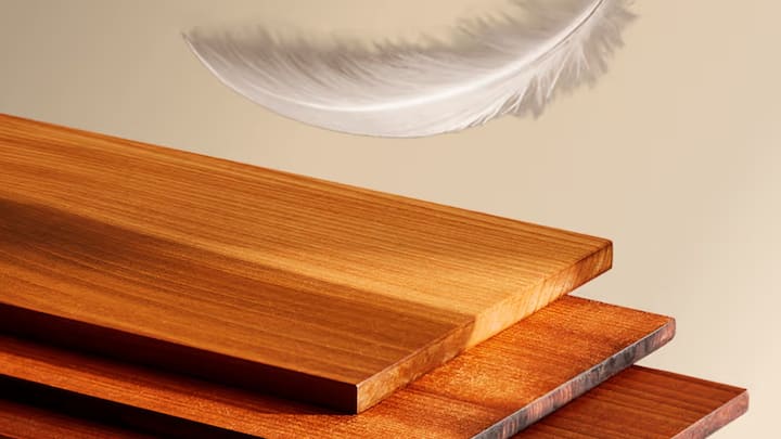 আমেরিকার সংস্থা InventWood অসম্ভবকে সম্ভব করে দেখিয়েছে। মেটেরিয়াল সায়েন্টিস্ট লিয়াংবিং হু সংস্থাটির প্রতিষ্ঠা করেন। Yale ইউনিভার্সিটিতে অধ্য়াপনাও করেন তিনি। প্রায়