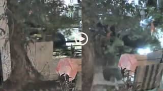 Video: 15 साल की लड़की ने कार से मचाई तबाही, दीवार तोड़ घर में घुसाई, पिता भी बाल-बाल बचे