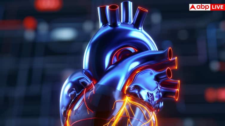 Second heart in human body: शरीर में कहां होता है दूसरा दिल? फटाफट जान लीजिए जवाब