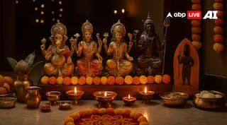 Dhanteras 2025: ਧਨਤੇਰਸ 'ਤੇ ਸ਼ਨੀ ਦਾ ਸਾਇਆ! ਭੁੱਲ ਕੇ ਵੀ ਨਾ ਖਰੀਦਿਓ ਆਹ ਸਮਾਨ