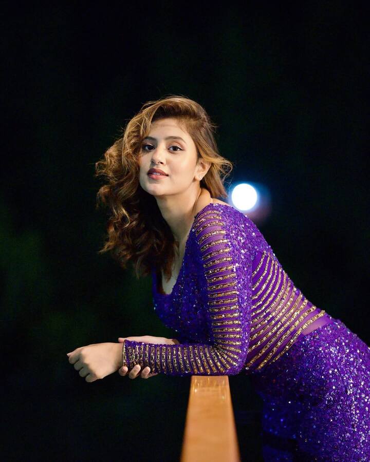 अंजलि कई पंजाबी और हिंदी  सॉन्ग वीडियो में दिखाई दी हैं, जिनमें 'टेम्पररी प्यार' और 'आशिक पुराना' जैसे गाने शामिल हैं.