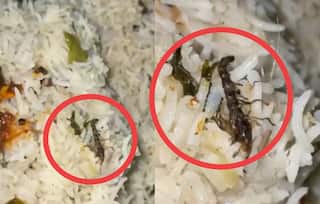 Konaseema Viral News: బిర్యానీలో మండ్రకప్ప, ముగ్గురిలో ఒకరు మృతి! అమలాపురం హోటల్లో ఏం జరిగింది?