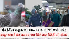 मुंबईतील कबुतरखान्याच्या वादात PETAची उडी; कबूतरखाने बंद करण्याच्या विरोधात व्हिडीओ केला शेअर, म्हणाले 'ते पण आपल्यातीलच...'