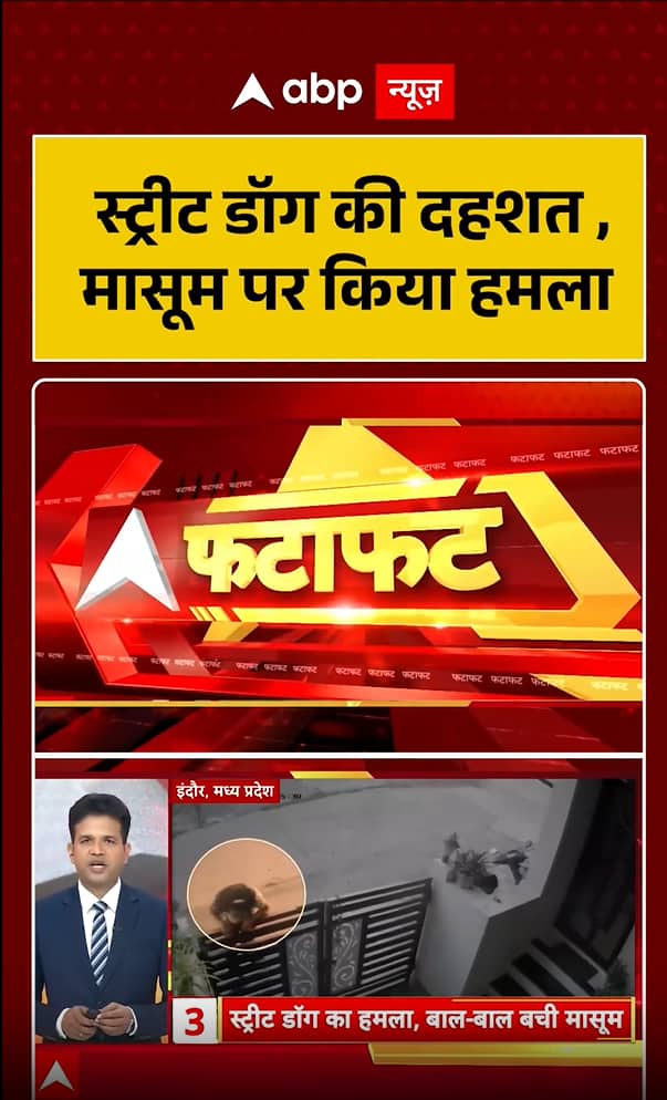 Street Dog Attack in Indore, Madhya Pradesh, Injures Innocent Child Street Dog Attack in Indore, Madhya Pradesh, Injures Innocent Child