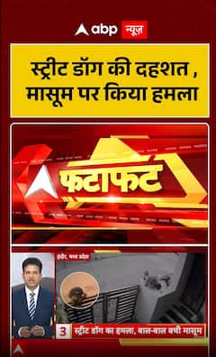 Street Dog Attack in Indore, Madhya Pradesh, Child Saved Just in Time