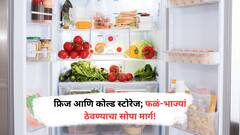 Cold Storage or Fridge : फ्रिज आणि कोल्ड स्टोरेज; फळं-भाज्यां ठेवण्याचा सोपा मार्ग!
