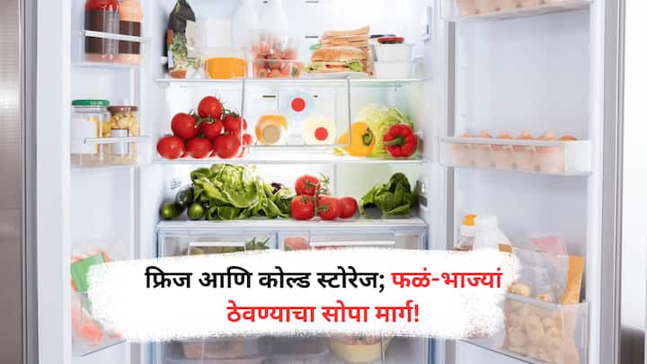 फ्रिज घरगुती वापरासाठी योग्य असून फळं आणि भाज्या काही दिवस ताज्या ठेवते, तर कोल्ड स्टोरेज कमी तापमानामुळे वस्तू महिनाभर सुद्धा टिकवते आणि त्यांच्या गुणवत्ता जपते.