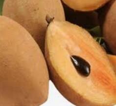 ਭੂਰੇ ਰੰਗ ਦਾ ਇਹ ਫਰੂਟ ਸਿਹਤ ਲਈ ਵਰਦਾਨ! ਅੱਖਾਂ ਦੀ ਰੌਸ਼ਨੀ ਤੋਂ ਲੈ ਕੇ ਸਕਿਨ ਲਈ ਲਾਹੇਵੰਦ...ਜਾਣੋ ਹੋਰ ਫਾਇਦੇ