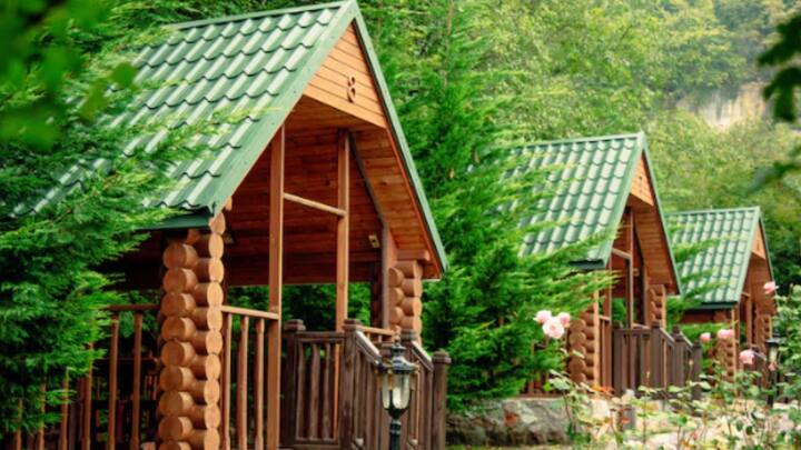 Superwood আগামী দিনে নির্মাণকার্যে ব্যবহৃত হবে বলে আশাবাদী InventWood. সংস্থার সিইও অ্যালেক্স লউ জানিয়েছেন, বাড়ি তৈরিতে SuperWood-এর কাঠামো থাকলে, ভূমিকম্পে কম ক্ষয়ক্ষতি হবে। পাশাপাশি, দ্রুত নির্মাণকার্য সম্পন্ন করাও সম্ভব হবে। তাঁর কথায়, “Superwood দেখতে কাঠের মতো, আচরণও কাঠের মতো। কিন্তু কাঠের চেয়ে অনেক শক্ত। কাঠে চেয়ে গুণমানও ভাল। আমরা পরীক্ষা করে দেখেছি।”