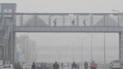 दिल्ली में दिवाली से पहली ही हवा की सेहत बहुत बिगड़ी, आनंद विहार की हालत सबसे खराब