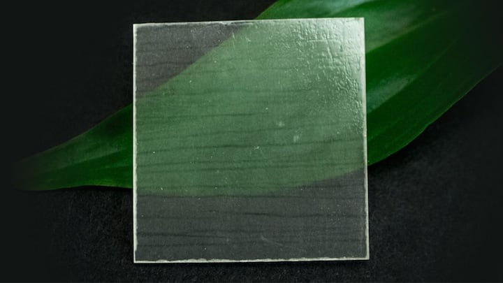 এক দশক ধরে কাঠের চরিত্রবদল করতে অক্লান্ত পরিশ্রম করে চলেছেন লিয়াংবিং। এতদিনে অভীষ্ট লক্ষ্যে পৌঁছতে সফল হলেন তিনি। কাঠকে ইস্পাতের চেয়ে মজবুতই করে তুললেন না শুধু, কাঠকে তিনি কাচের মতো স্বচ্ছও করে তুললেন।