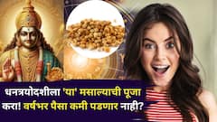 अहो..सोनं-चांदी काय घेऊन बसलात, धनत्रयोदशीला 'या' मसाल्याची पूजा करा! 2026 वर्षभर पैसा कमी पडणार नाही