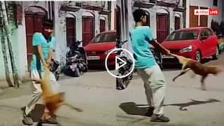 Video: सो रहे कुत्ते का पैर पकड़ बना दी चखरी, वीडियो देख गुस्साए लोग, बोले- नर्क में यह भी ऐसे ही घूमेगा
