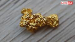 Indian Rivers Gold: भारत की किन नदियों में मिलता है सोना, यहां आप कैसे निकाल सकते हैं गोल्ड?