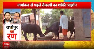 Bihar Election 2025: Tejashwi Yadav To File Nomination From Raghopur Today, Lalu Prasad To Join Roadshow