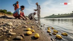 Indian Rivers Gold: ભારતની કઈ નદીઓમાં મળે છે સોનું, અહીં તમે કઇ રીતે કાઢી શકો છો ગૉલ્ડ ?