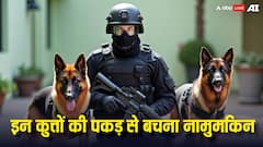 Most Dangerous Dogs: ये हैं दुनिया के सबसे खतरनाक कुत्ते, मालिक के अलावा किसी और पर नहीं करते भरोसा
