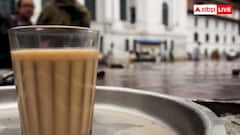 Global Tea Culture: क्या सिर्फ भारत में ही पी जाती है दूध वाली चाय, जानें बाकी देशों की क्या है पसंद