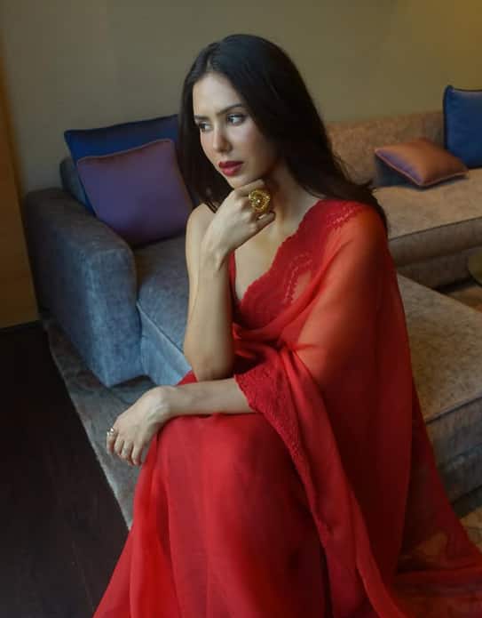 सोनम बाजवा ने अपने करियर में ‘निक्का जैलदार’, ‘पंजाब 1984’, ‘सरदार जी 2’, ‘कैरी ऑन जट्टा 2’ समेत कई सुपरहिट फिल्में दीं.