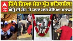 ਕਿੱਥੇ ਗਿਆ ਮੇਰਾ ਪੁੱਤ ਫਤਿਹਜੰਗ ! ਘੋੜੇ ਦੀ ਮੌਤ 'ਤੇ ਧਾਹਾਂ ਮਾਰ ਰੋਇਆ ਮਾਲਕ