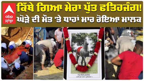 ਕਿੱਥੇ ਗਿਆ ਮੇਰਾ ਪੁੱਤ ਫਤਿਹਜੰਗ ! ਘੋੜੇ ਦੀ ਮੌਤ 'ਤੇ ਧਾਹਾਂ ਮਾਰ ਰੋਇਆ ਮਾਲਕ
